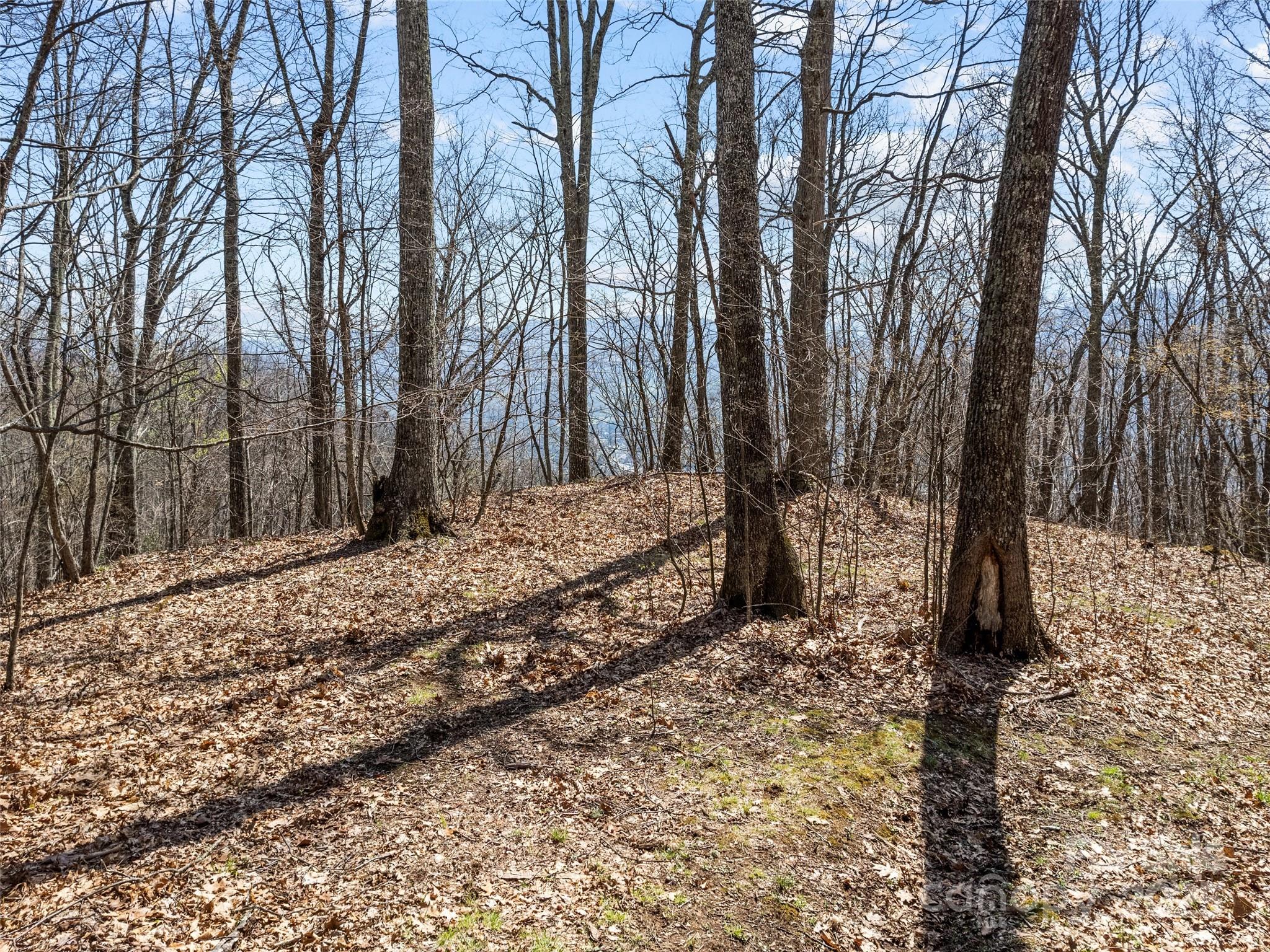 000 Larchwood Point Hazelwood NC 28786