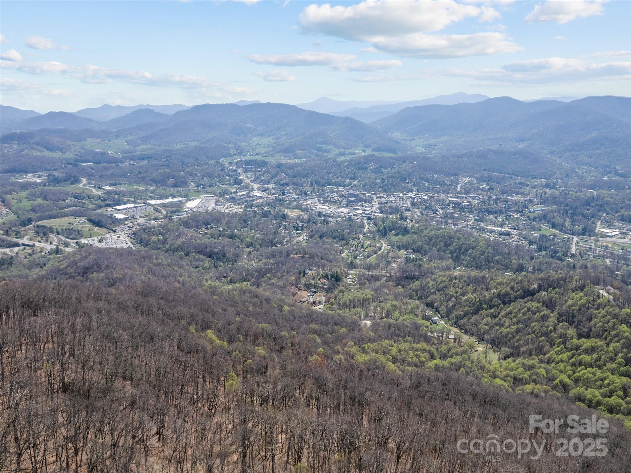 000 Larchwood Point Hazelwood NC 28786