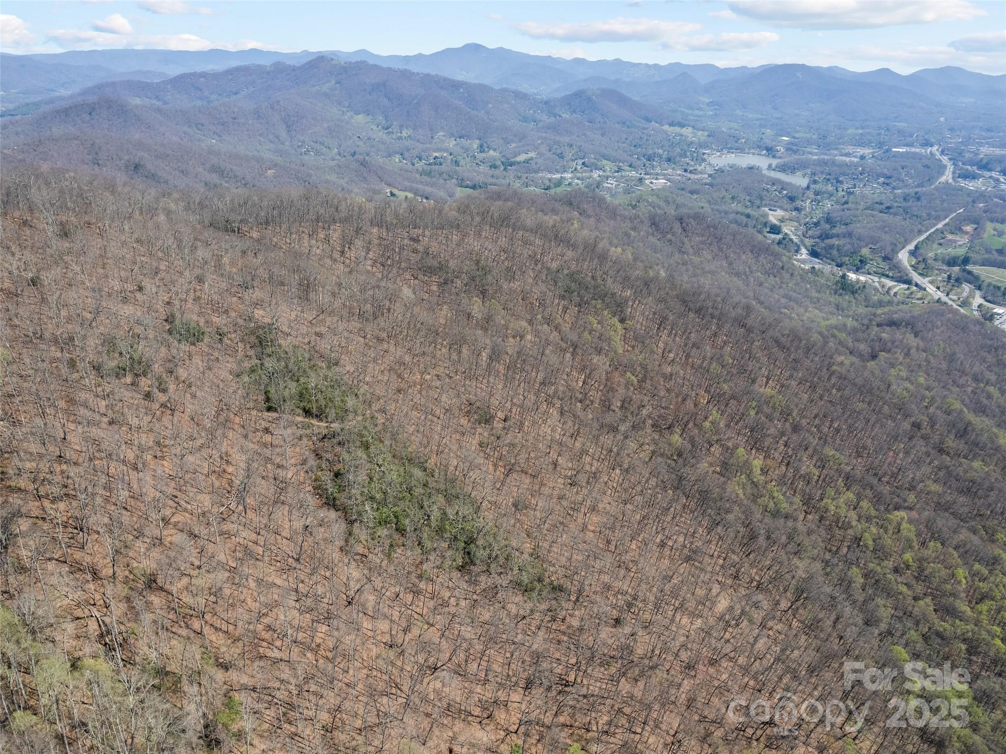 000 Larchwood Point Hazelwood NC 28786