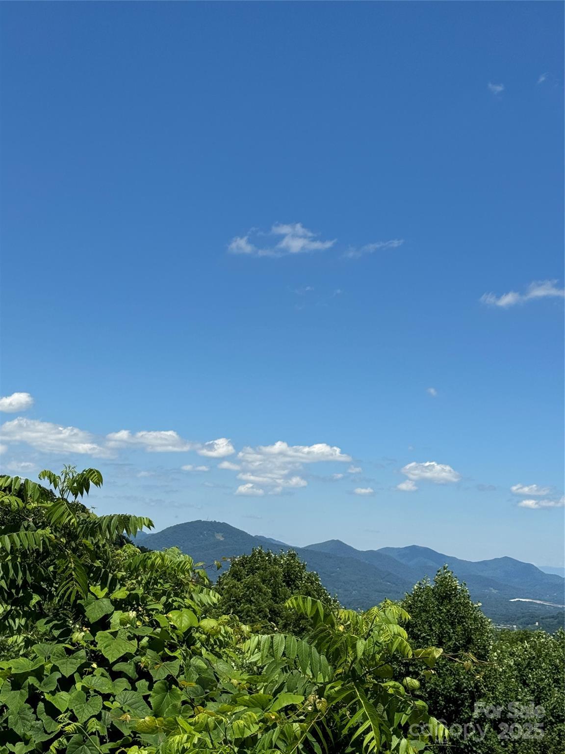000 Larchwood Point Hazelwood NC 28786