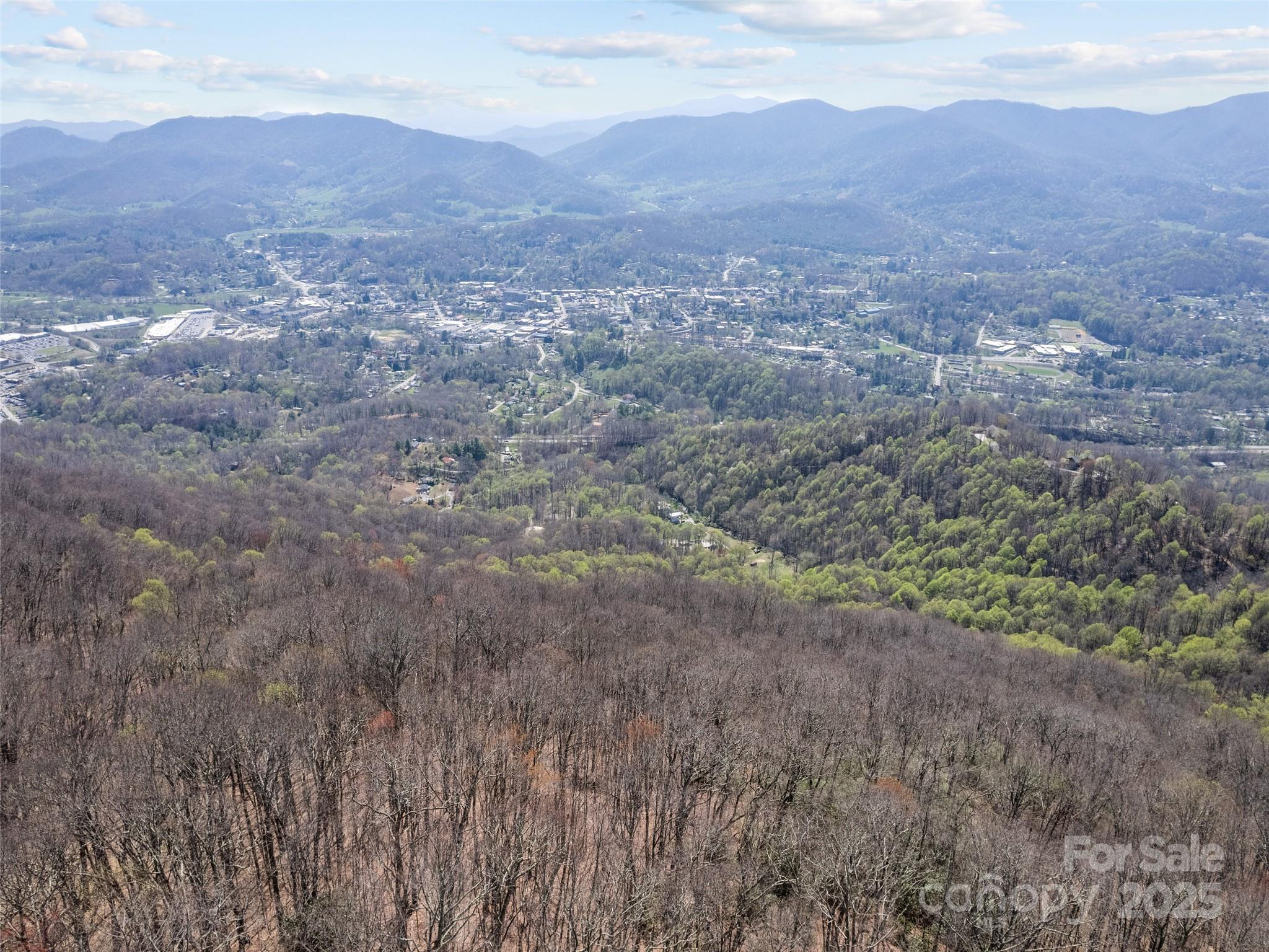 000 Larchwood Point Hazelwood NC 28786