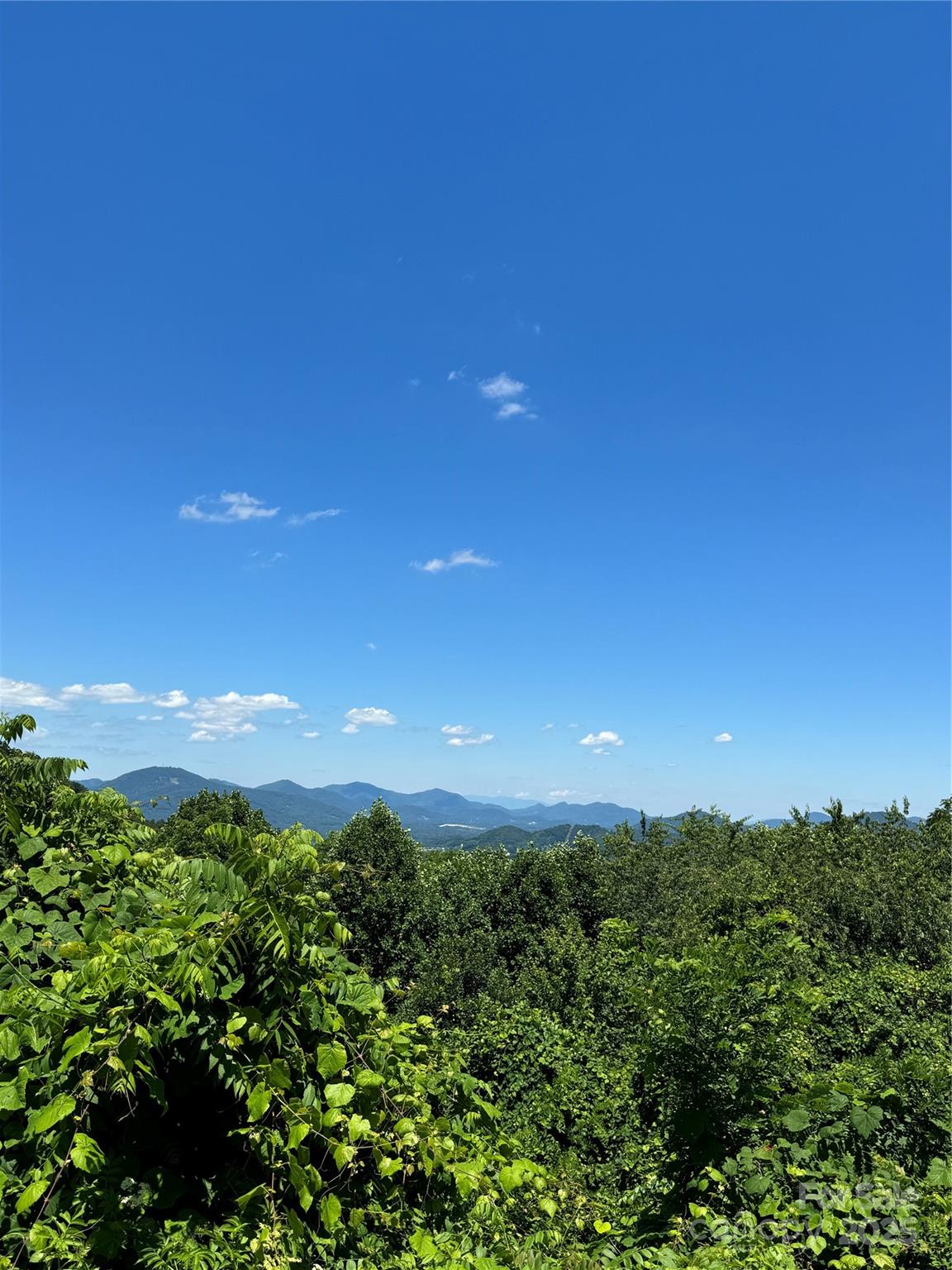 000 Larchwood Point Hazelwood NC 28786
