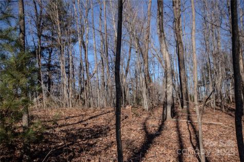 2215 Nighthawk Ridge Court Lenoir NC 28645