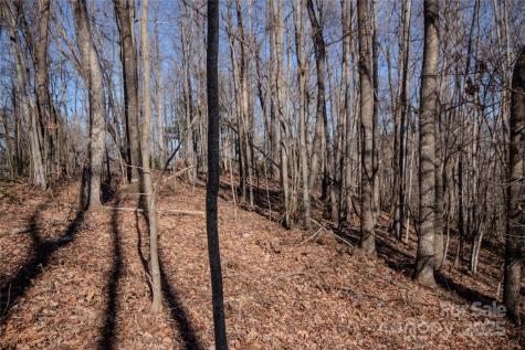 2215 Nighthawk Ridge Court Lenoir NC 28645
