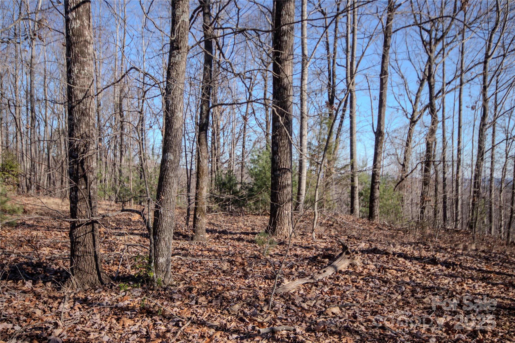2215 Nighthawk Ridge Court Lenoir NC 28645