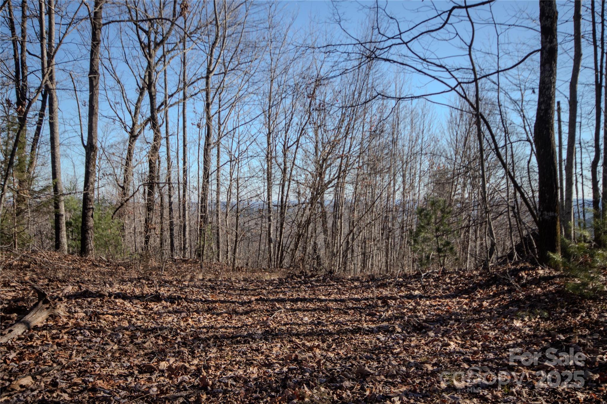 2215 Nighthawk Ridge Court Lenoir NC 28645