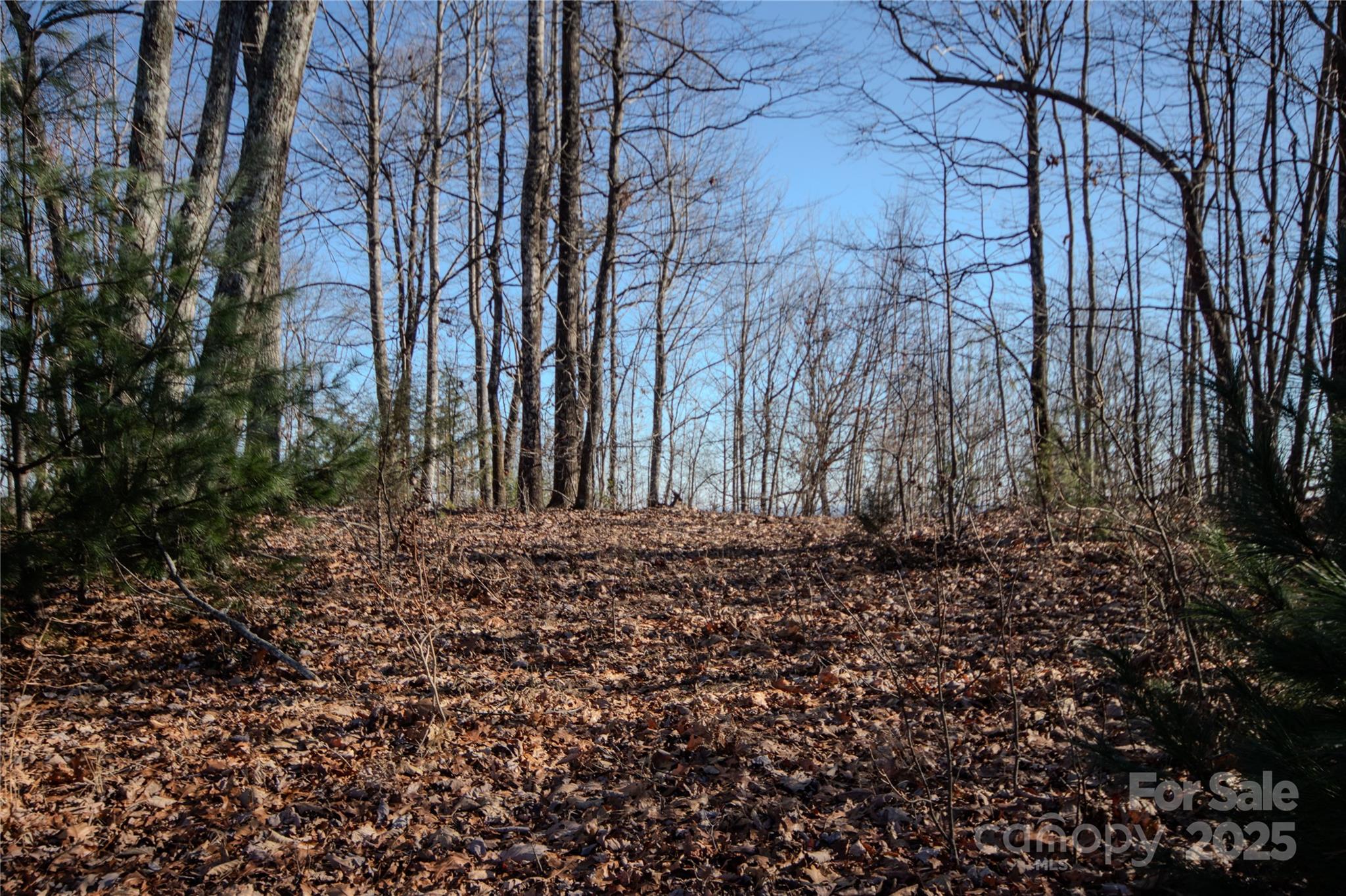 2215 Nighthawk Ridge Court Lenoir NC 28645