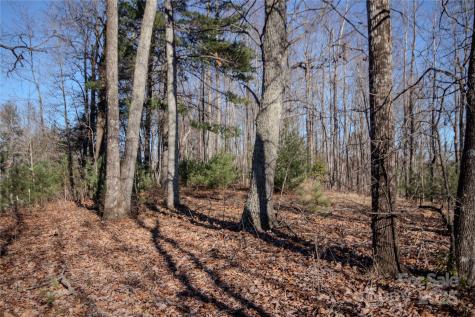 2215 Nighthawk Ridge Court Lenoir NC 28645