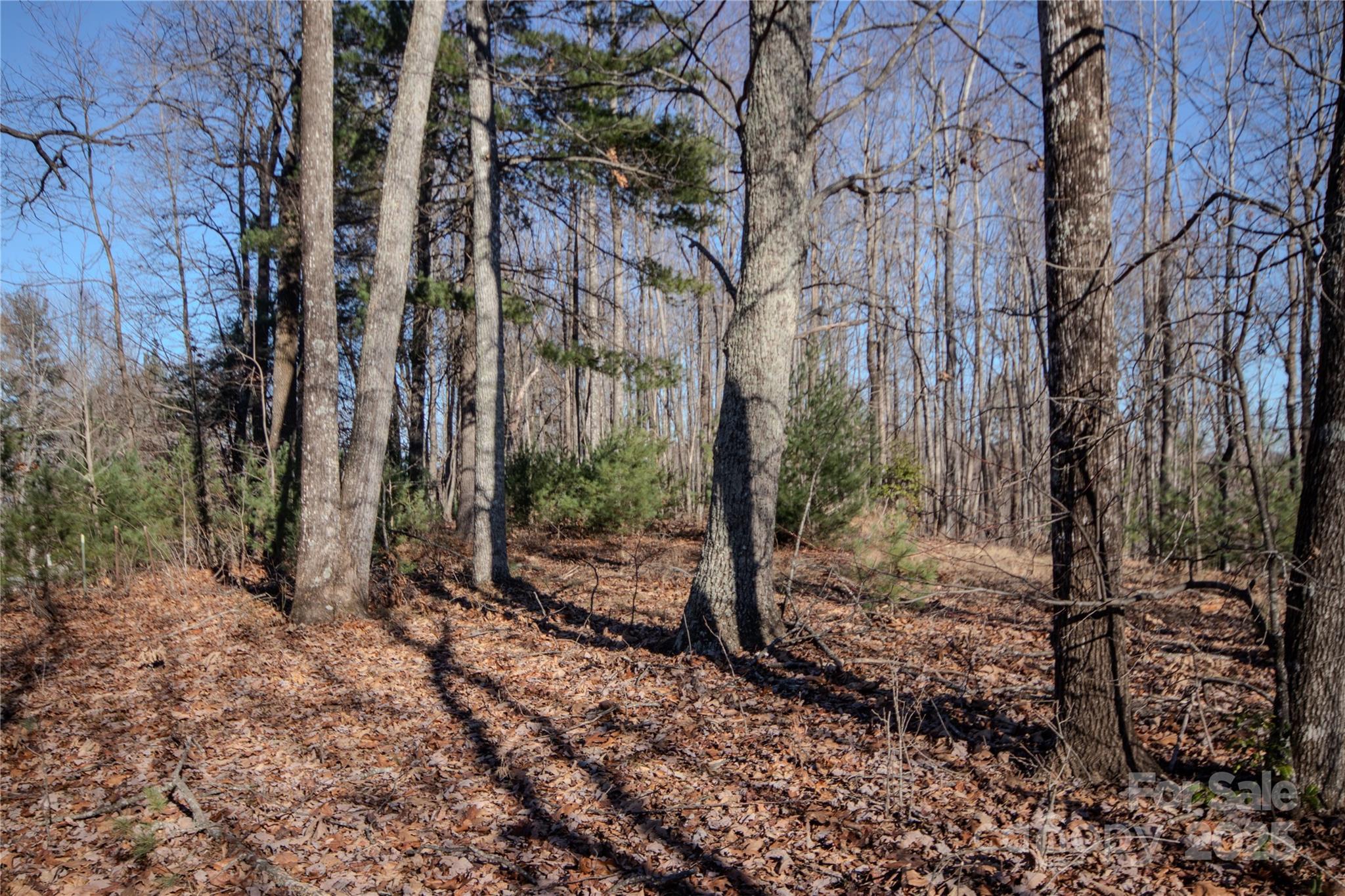 2215 Nighthawk Ridge Court Lenoir NC 28645