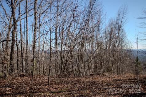 2215 Nighthawk Ridge Court Lenoir NC 28645