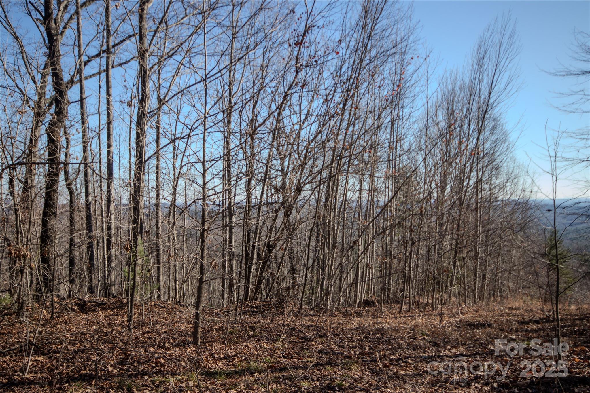 2215 Nighthawk Ridge Court Lenoir NC 28645