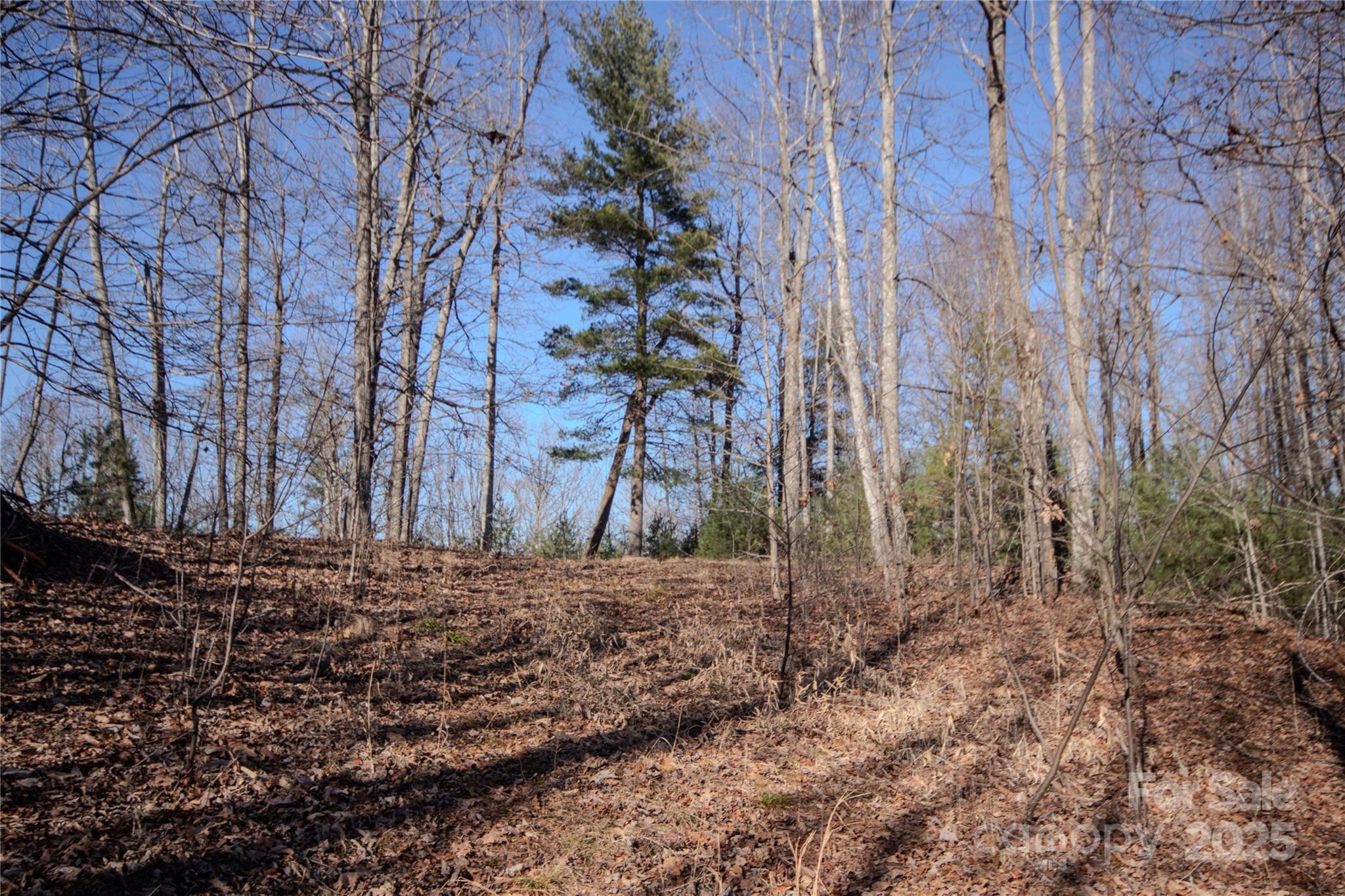 2215 Nighthawk Ridge Court Lenoir NC 28645