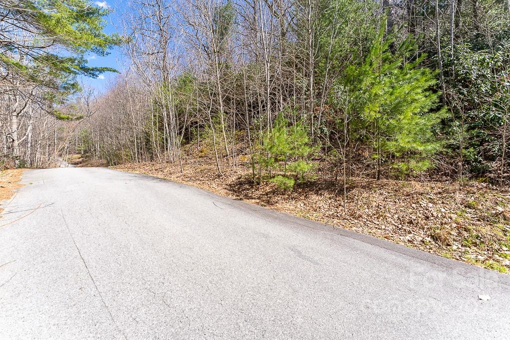 99999 Bartlett Mountain Road Asheville NC 28805