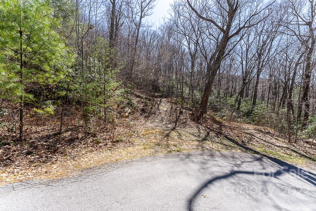 99999 Bartlett Mountain Road Asheville NC 28805