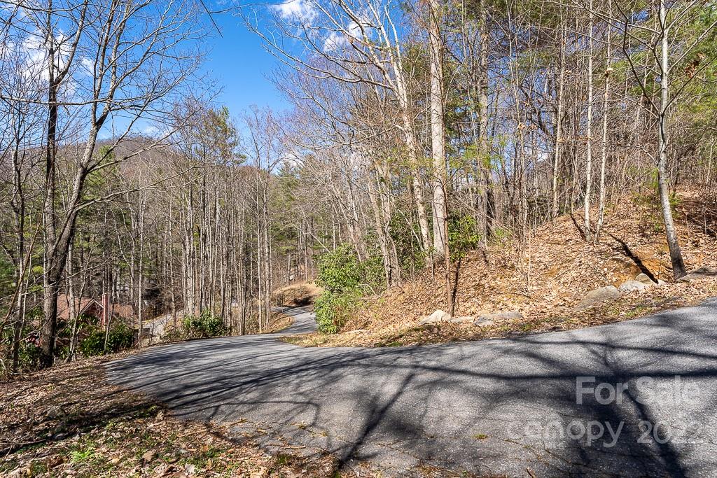 99999 Bartlett Mountain Road Asheville NC 28805