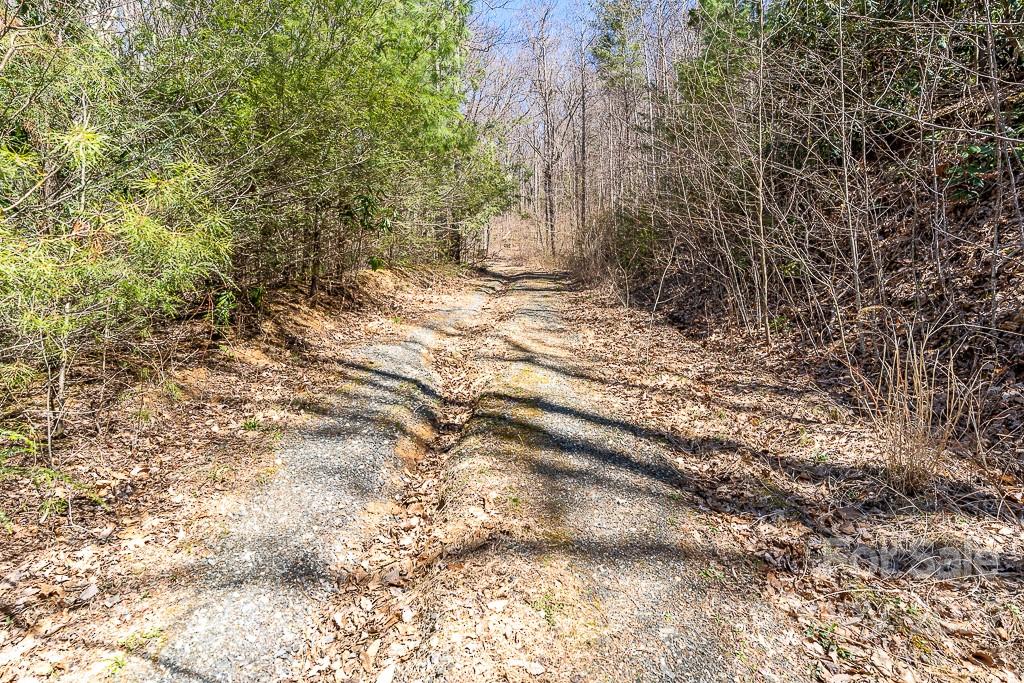 99999 Bartlett Mountain Road Asheville NC 28805