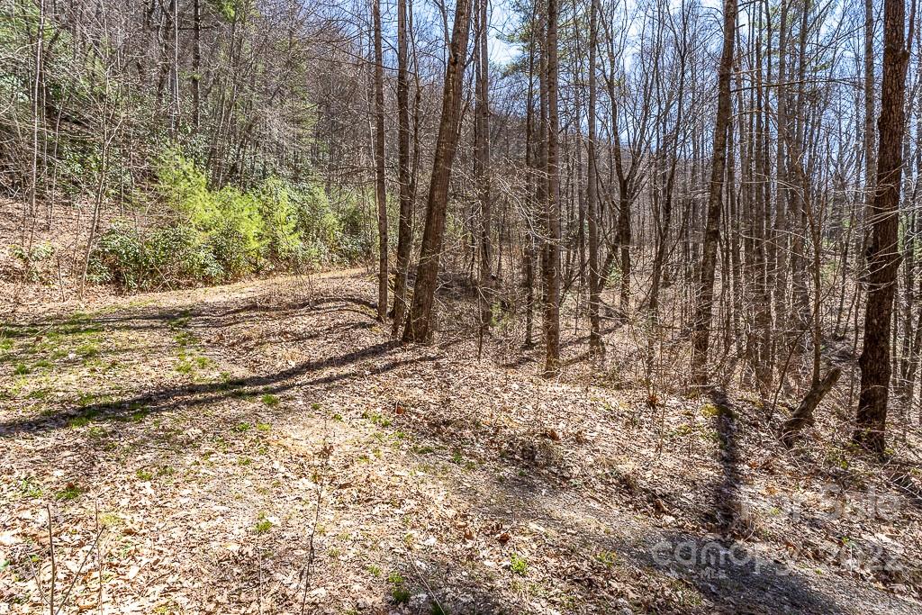 99999 Bartlett Mountain Road Asheville NC 28805