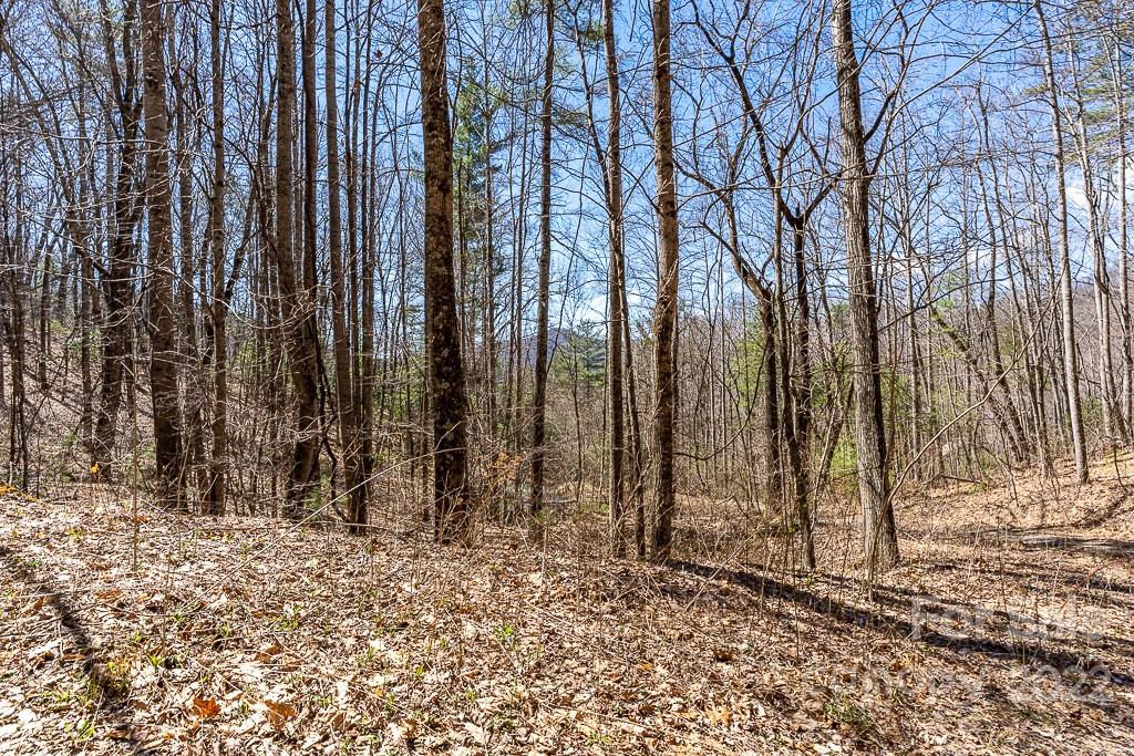 99999 Bartlett Mountain Road Asheville NC 28805