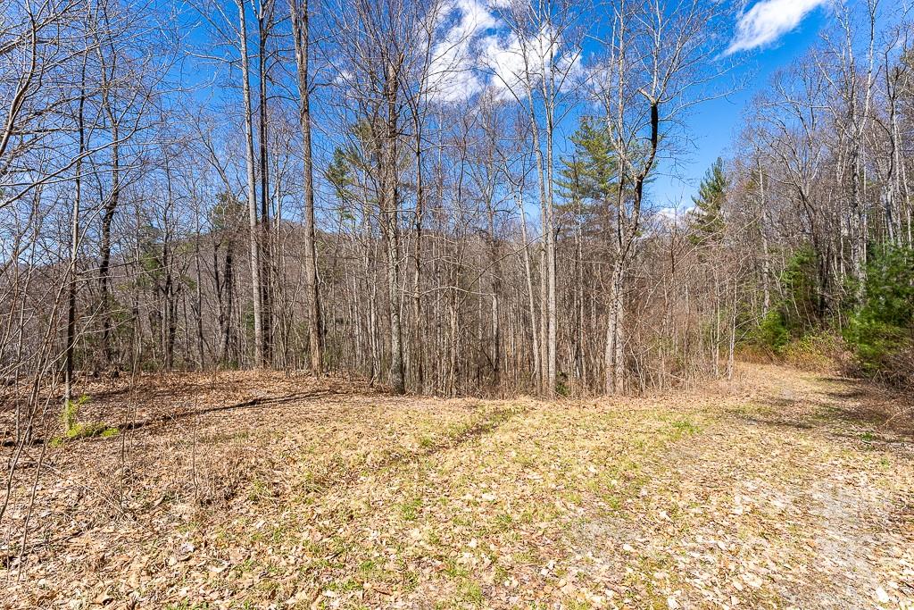 99999 Bartlett Mountain Road Asheville NC 28805