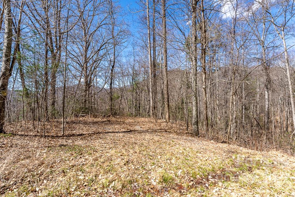 99999 Bartlett Mountain Road Asheville NC 28805