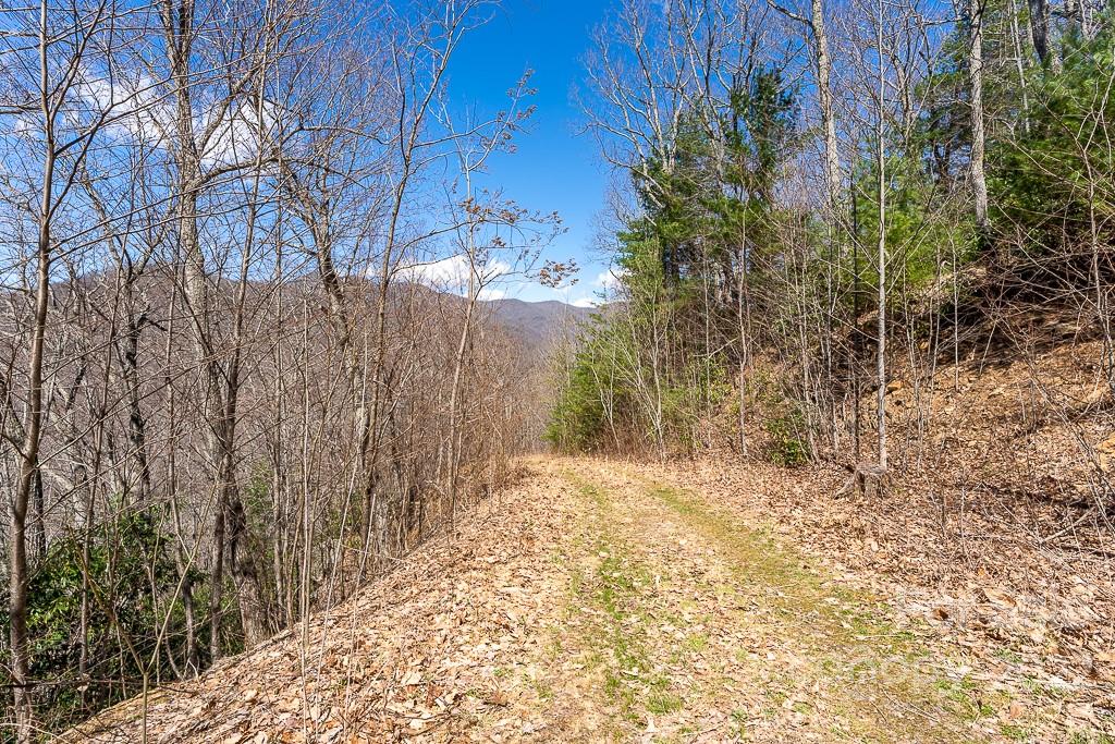 99999 Bartlett Mountain Road Asheville NC 28805