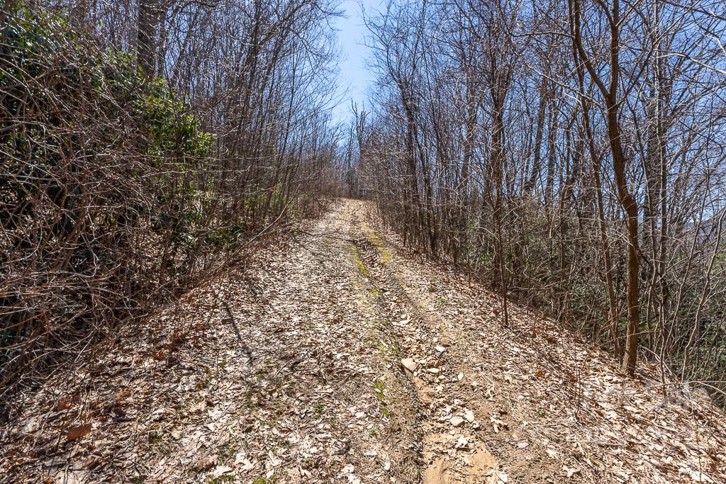 99999 Bartlett Mountain Road Asheville NC 28805