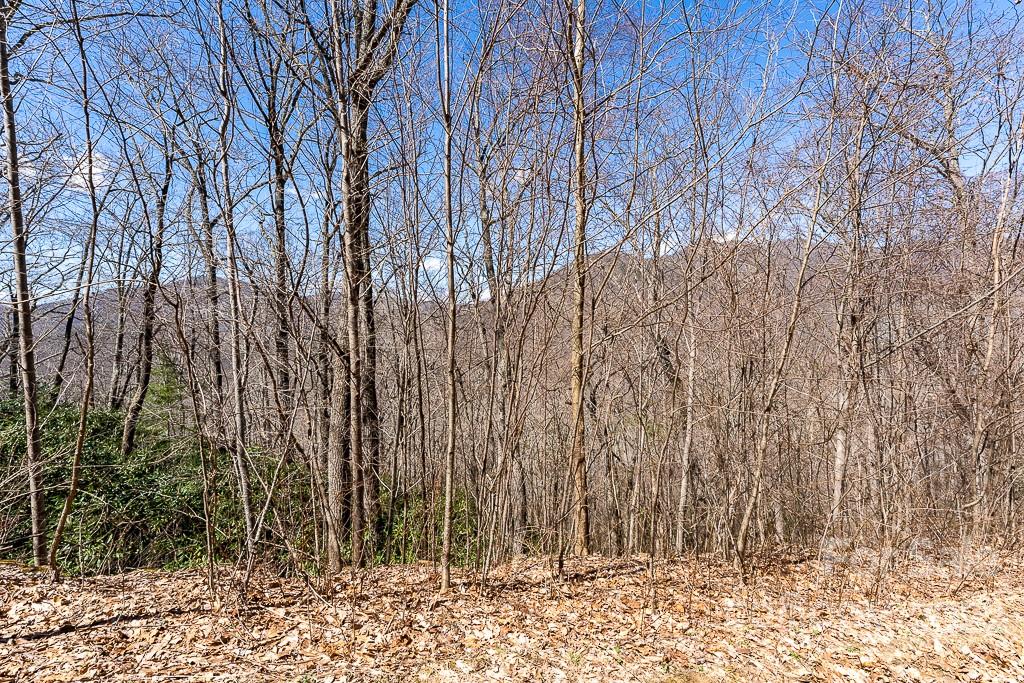 99999 Bartlett Mountain Road Asheville NC 28805