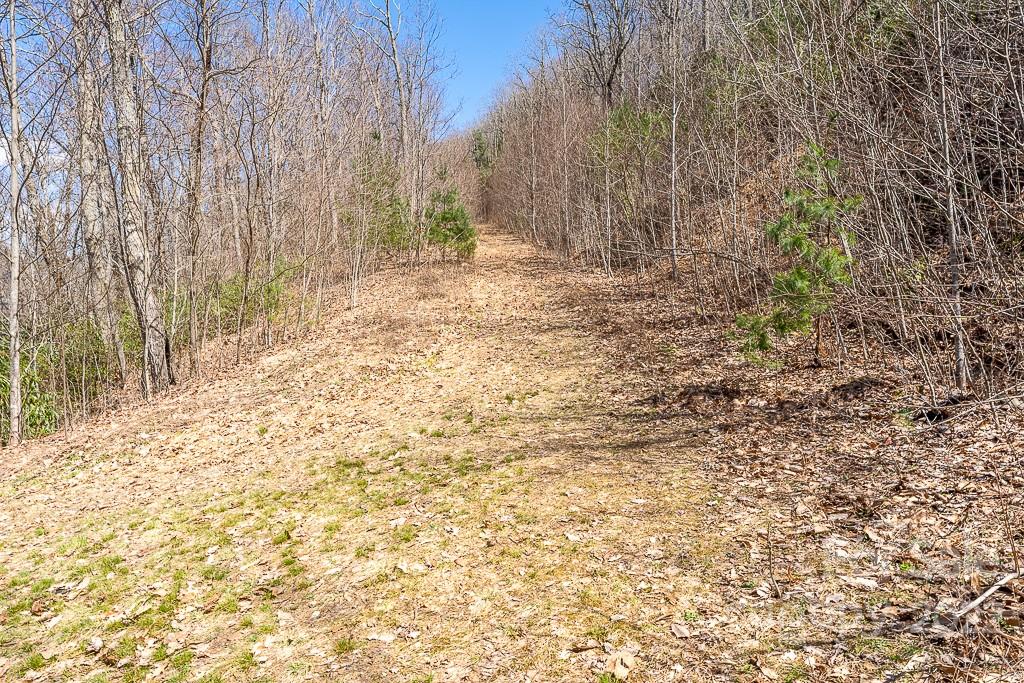 99999 Bartlett Mountain Road Asheville NC 28805