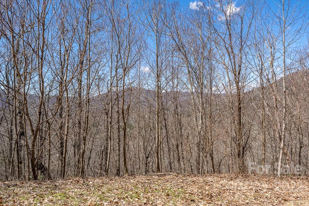 99999 Bartlett Mountain Road Asheville NC 28805