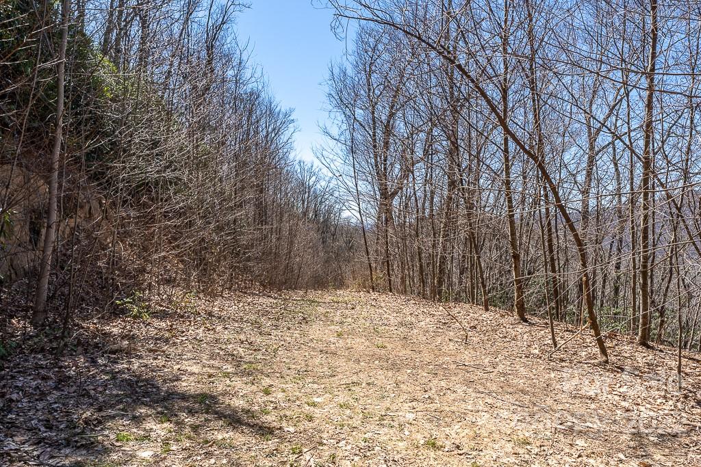 99999 Bartlett Mountain Road Asheville NC 28805