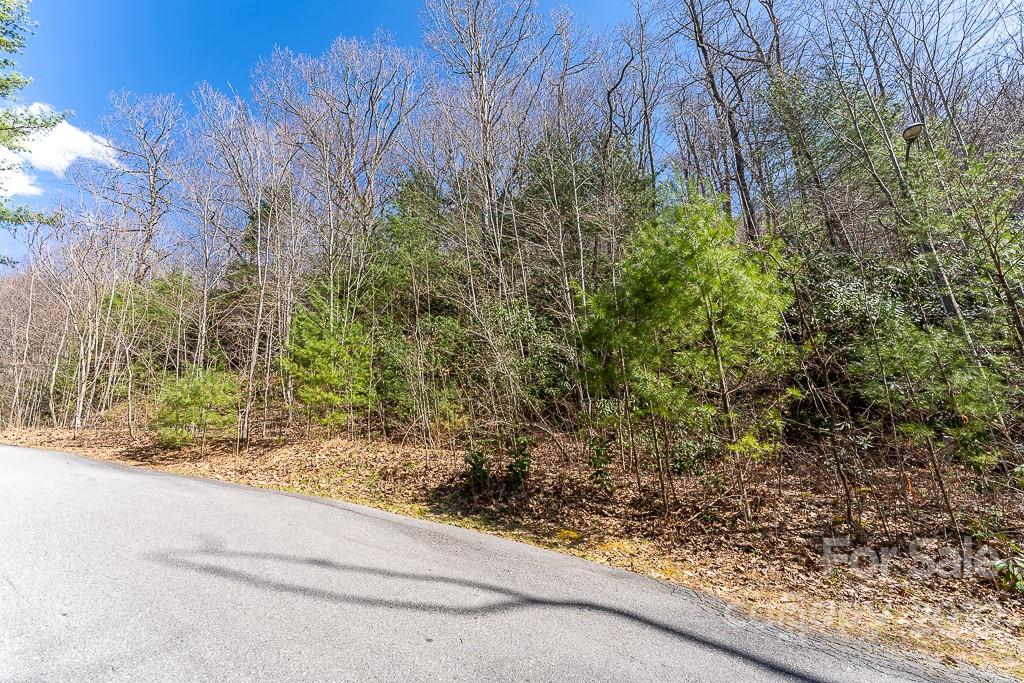 99999 Bartlett Mountain Road Asheville NC 28805