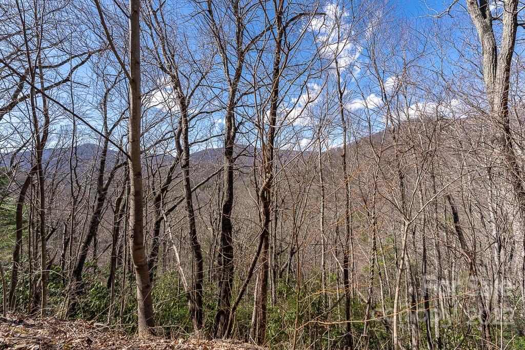 99999 Bartlett Mountain Road Asheville NC 28805