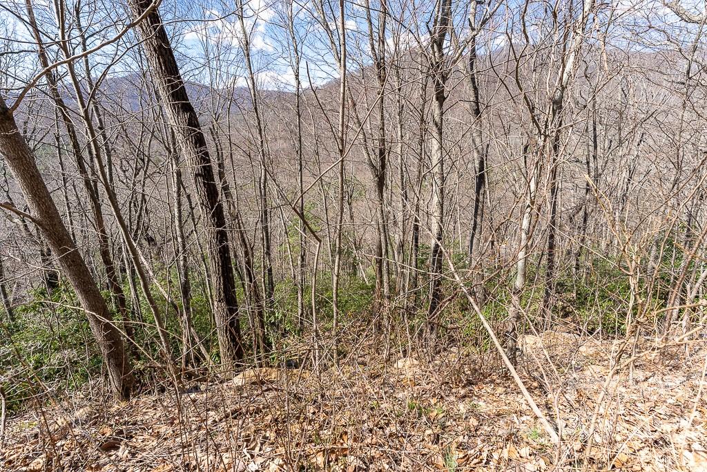 99999 Bartlett Mountain Road Asheville NC 28805