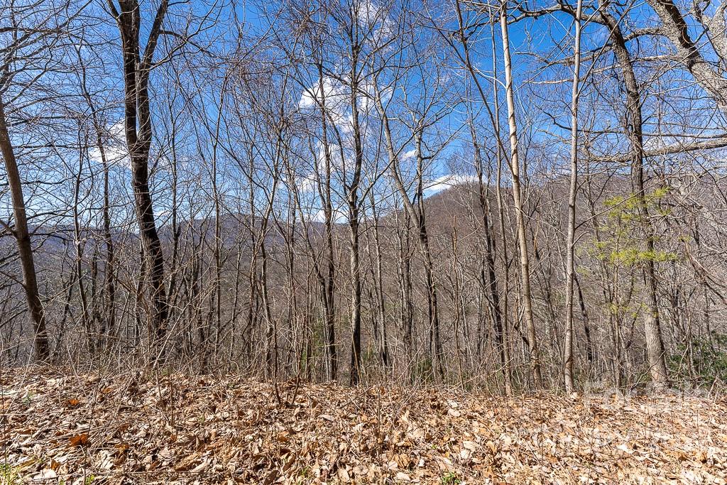 99999 Bartlett Mountain Road Asheville NC 28805