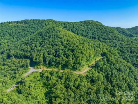 9999-29 Lovebird Lane Canton NC 28716