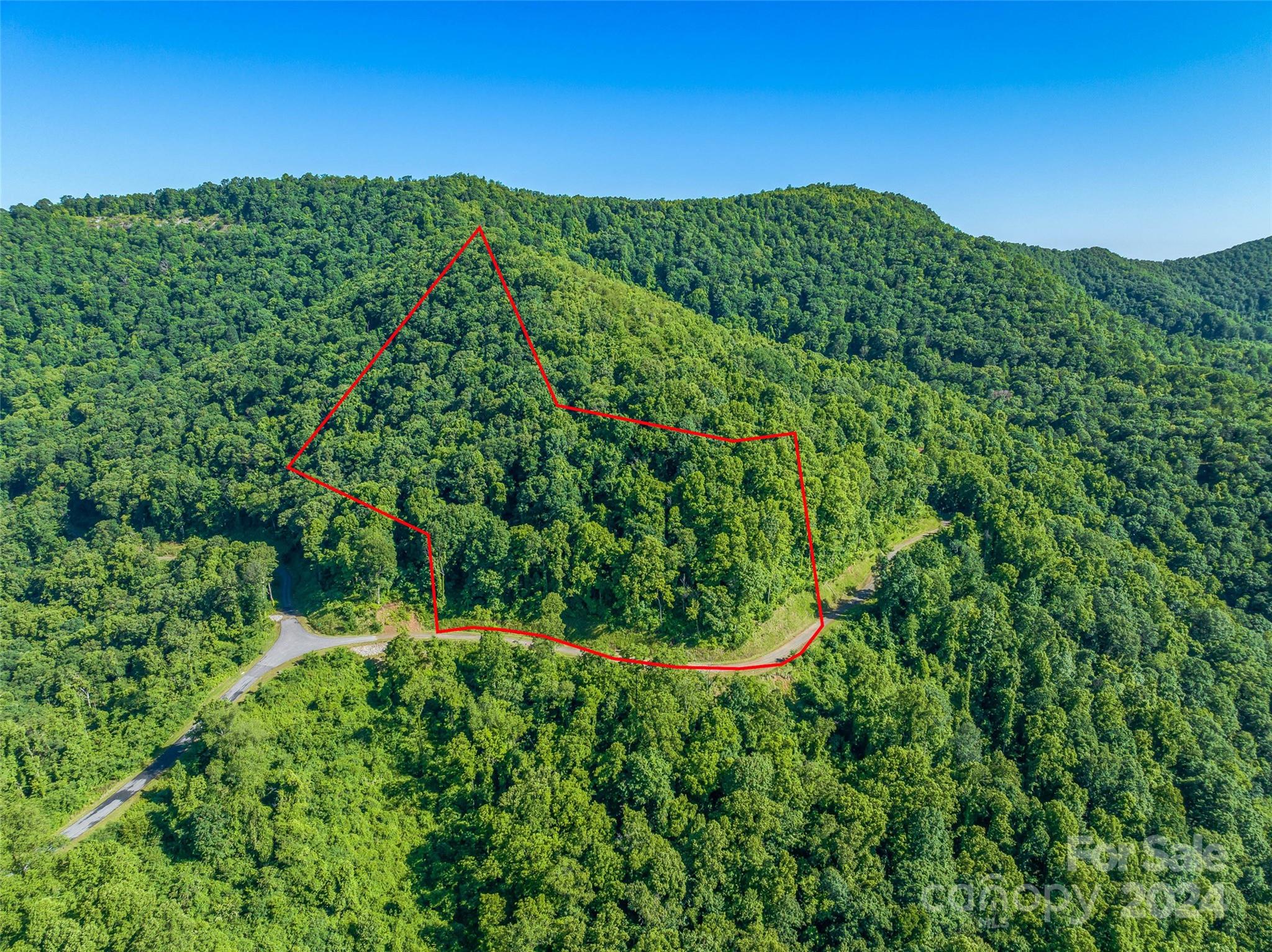 9999-29 Lovebird Lane Canton NC 28716
