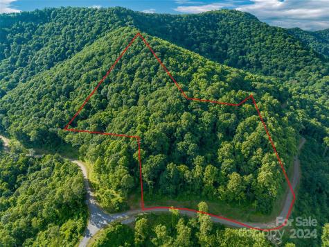 9999-29 Lovebird Lane Canton NC 28716