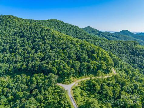 9999-29 Lovebird Lane Canton NC 28716