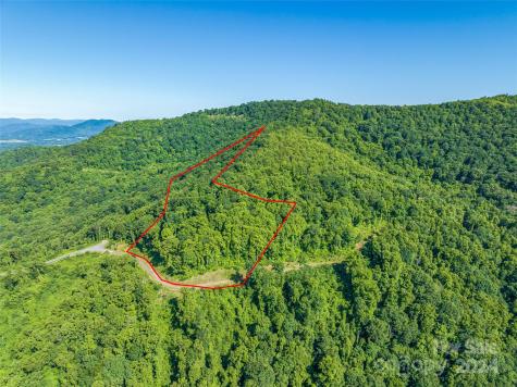9999-29 Lovebird Lane Canton NC 28716