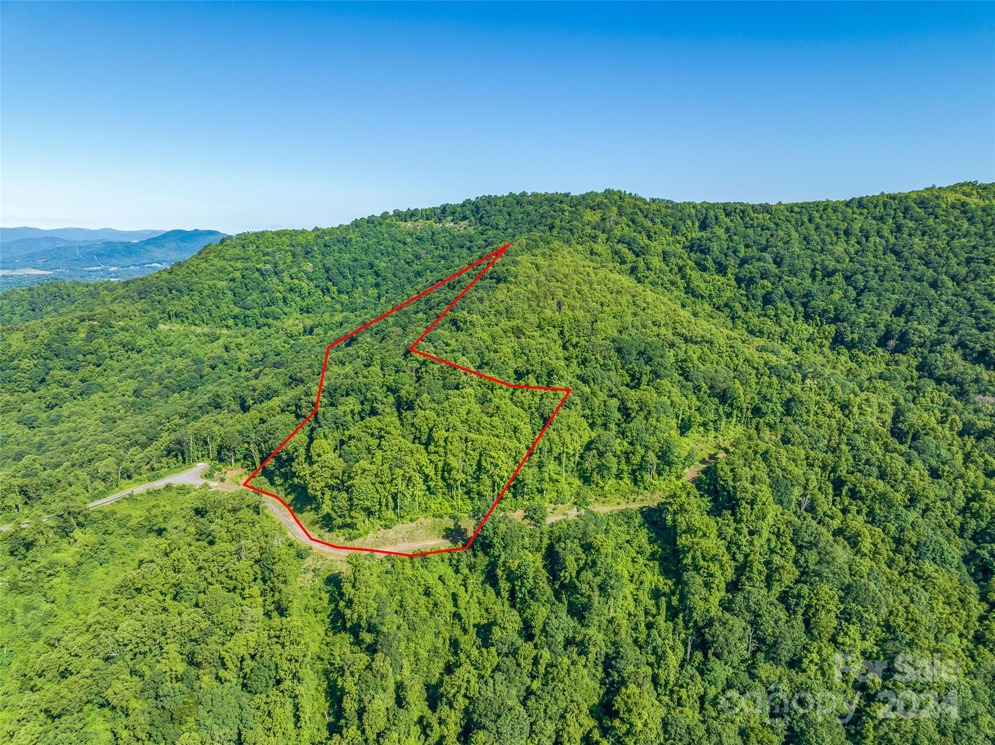 9999-29 Lovebird Lane Canton NC 28716