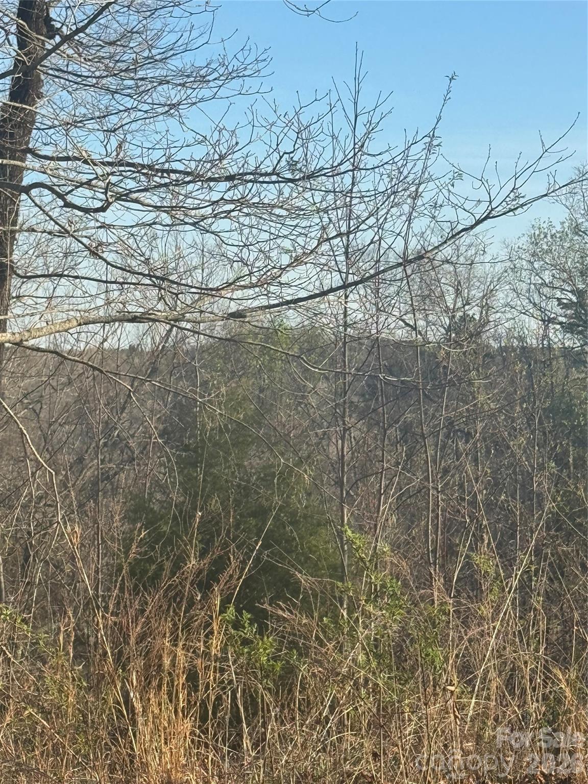 0 Willow Top Lane Lake Lure NC 28746