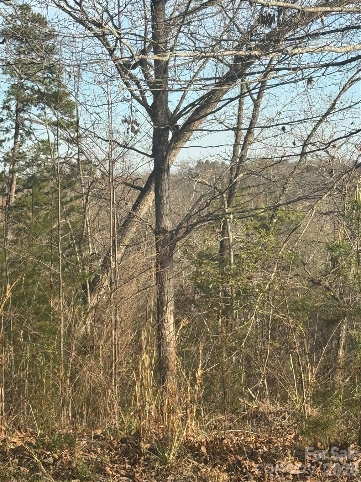 0 Willow Top Lane Lake Lure NC 28746