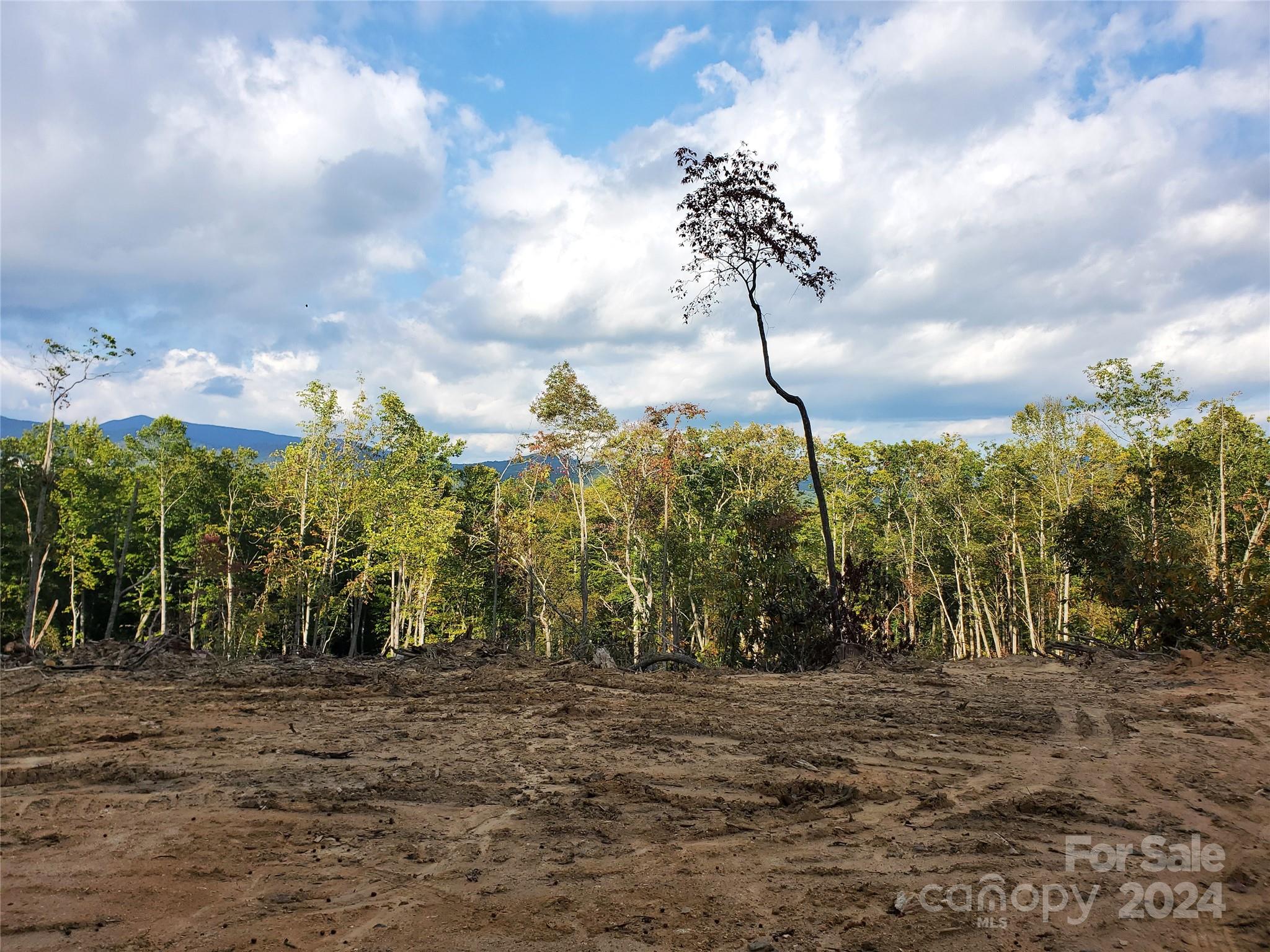 Tbd Parkwood Hill Road Spruce Pine NC 28777
