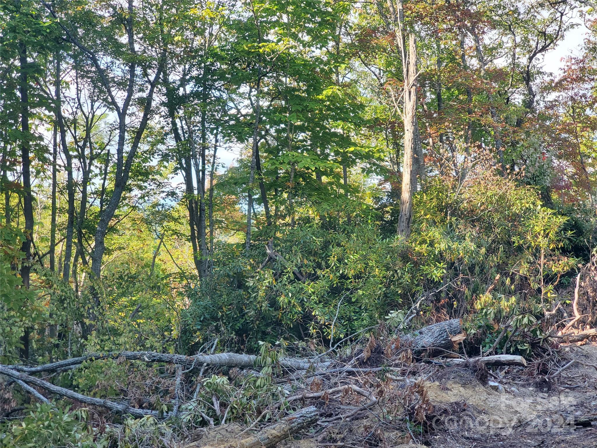 Tbd Parkwood Hill Road Spruce Pine NC 28777