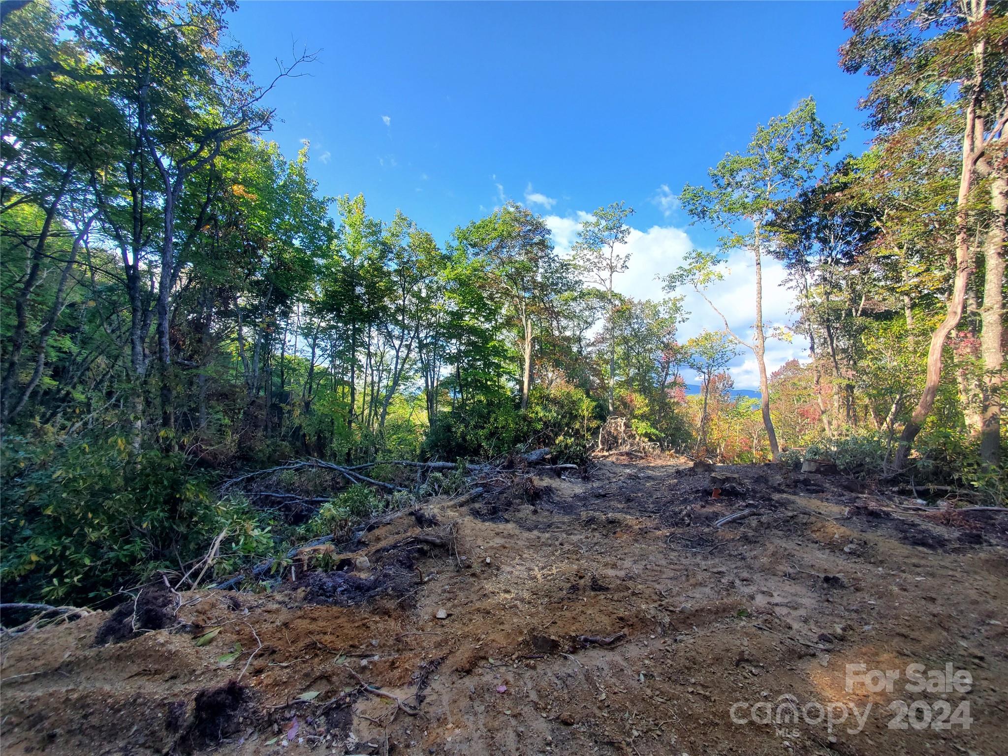 Tbd Parkwood Hill Road Spruce Pine NC 28777