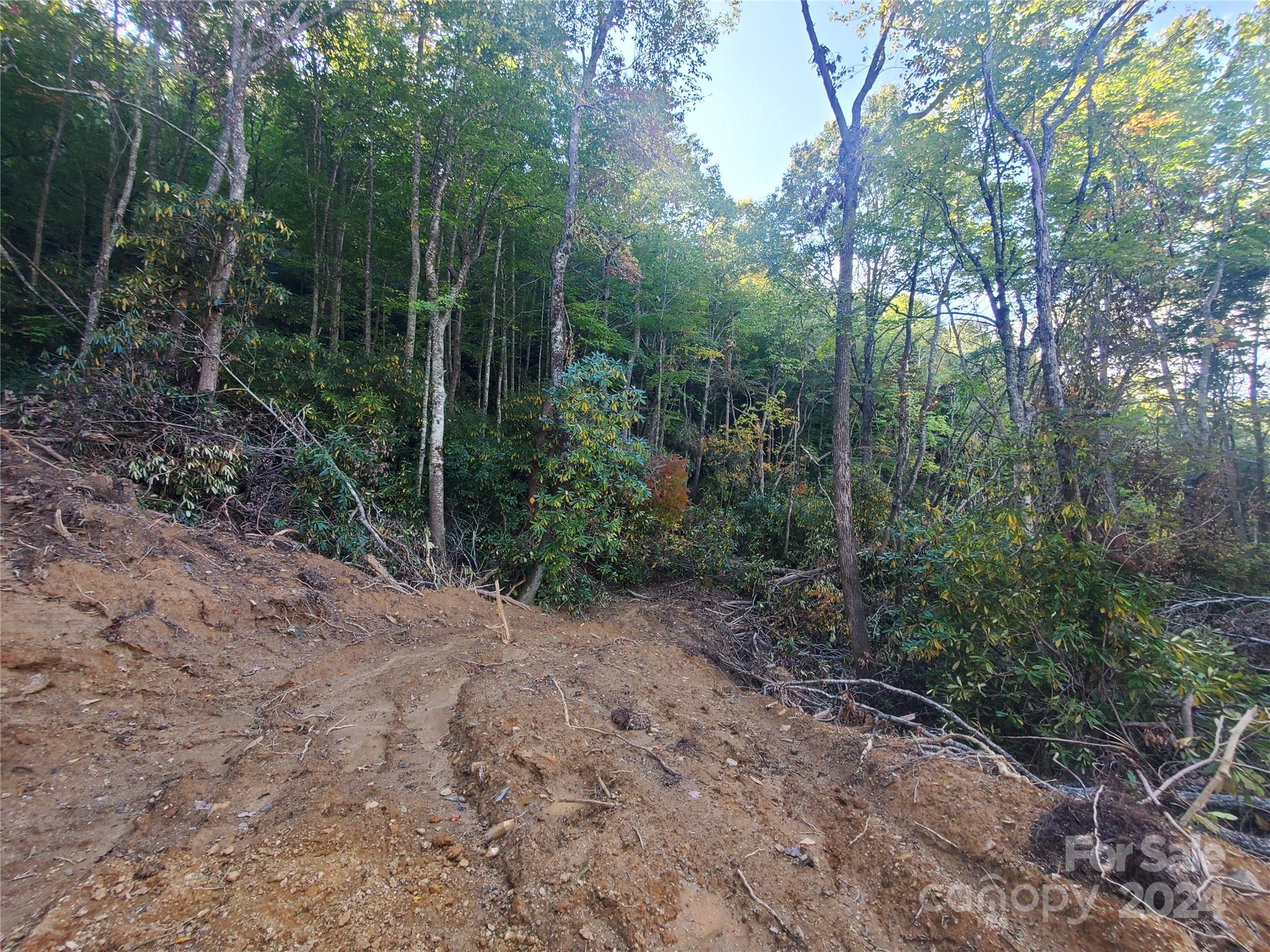 Tbd Parkwood Hill Road Spruce Pine NC 28777