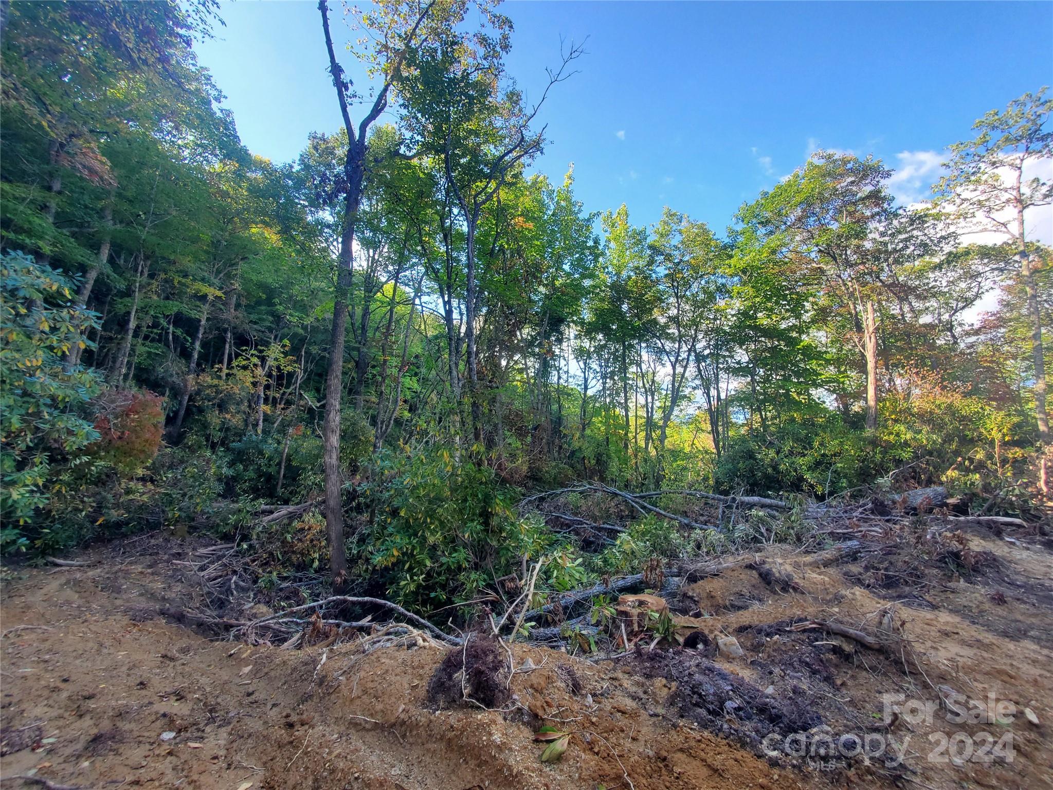 Tbd Parkwood Hill Road Spruce Pine NC 28777