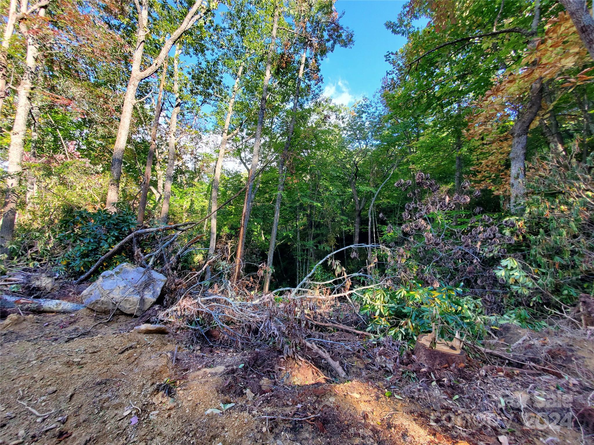 Tbd Parkwood Hill Road Spruce Pine NC 28777