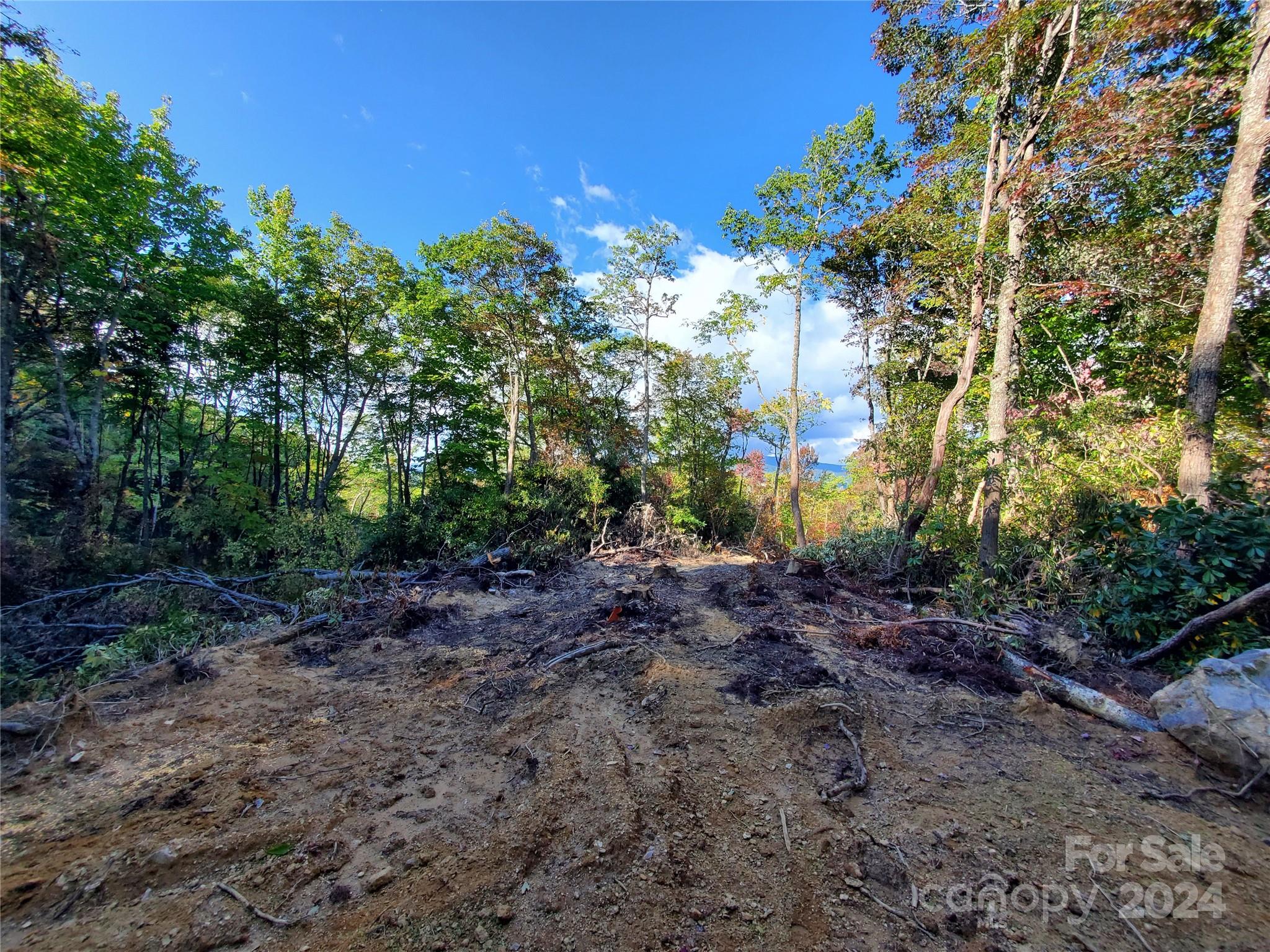 Tbd Parkwood Hill Road Spruce Pine NC 28777