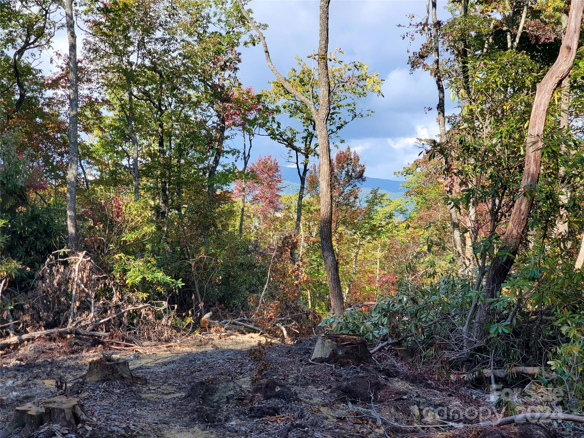 Tbd Parkwood Hill Road Spruce Pine NC 28777